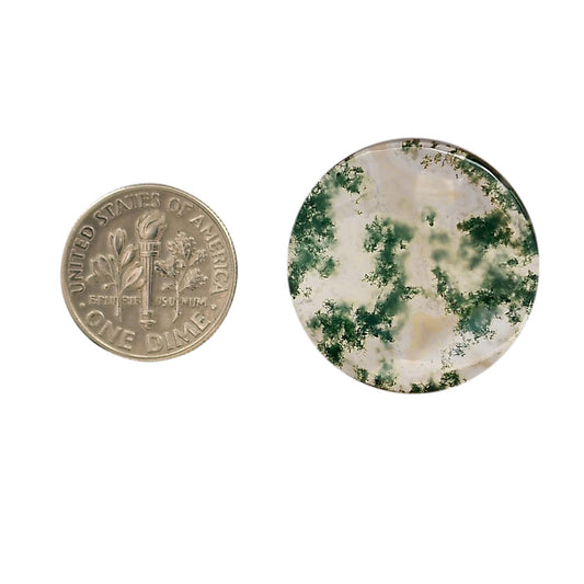 Green Moss Agate 25.8x25.8x4 mm Round Shape Polished Gemstone LS31-05953