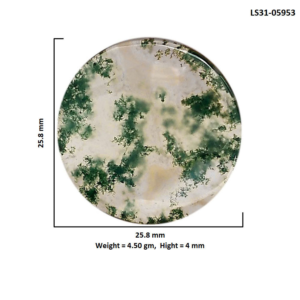 Green Moss Agate 25.8x25.8x4 mm Round Shape Polished Gemstone LS31-05953