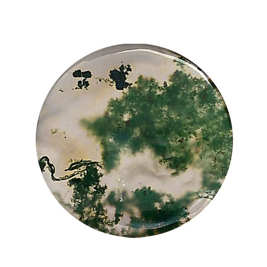 Green Moss Agate 21.8x21.8x4 mm Round Shape Polished Gemstone LS31-05954