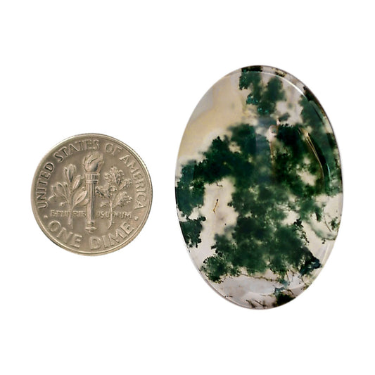 Green Moss Agate 24.1x35x4.5 mm Oval Shape Polished Gemstone LS31-05955
