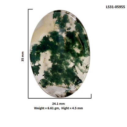 Green Moss Agate 24.1x35x4.5 mm Oval Shape Polished Gemstone LS31-05955