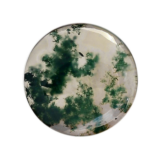 Green Moss Agate 27x27x5 mm Round Shape Polished Gemstone LS31-05959