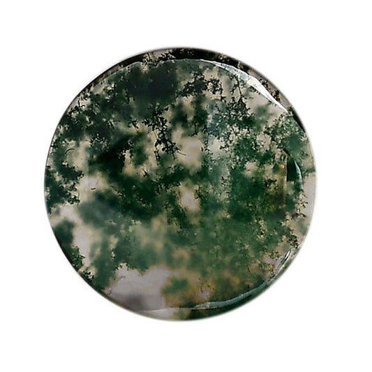 Green Moss Agate 25.4x25.4x4.5 mm Round Shape Polished Gemstone LS31-05973