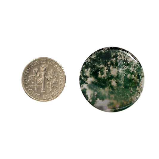 Green Moss Agate 25.4x25.4x4.5 mm Round Shape Polished Gemstone LS31-05973
