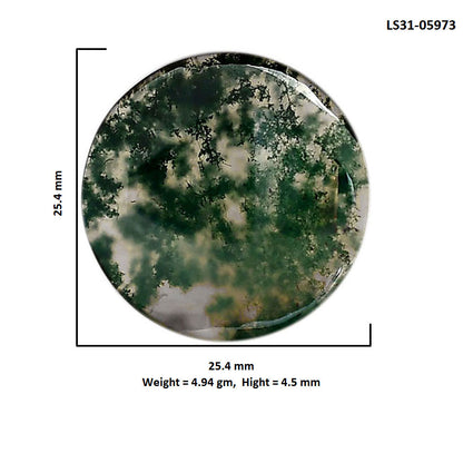 Green Moss Agate 25.4x25.4x4.5 mm Round Shape Polished Gemstone LS31-05973