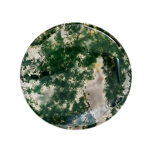 Green Moss Agate 24x24x4 mm Round Shape Polished Gemstone LS31-05974