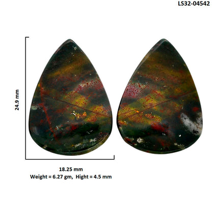 Blood Stone Pair 18.25x24.9x4.5 mm Pear Shape Polished Gemstone LS32-04542