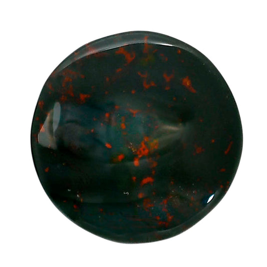 Blood Stone 26.2x26.4x5 mm Round Shape Polished Gemstone LS32-05216