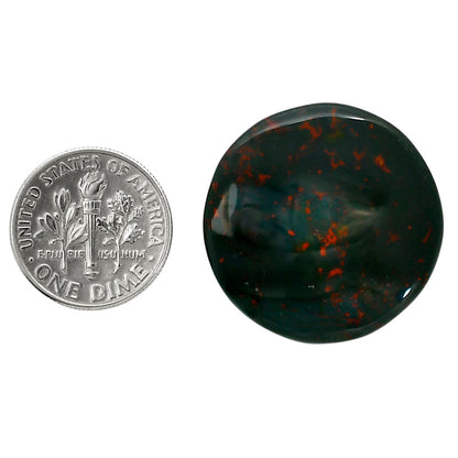 Blood Stone 26.2x26.4x5 mm Round Shape Polished Gemstone LS32-05216