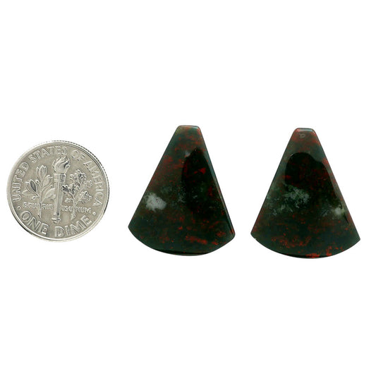 Blood Stone Pair 18.9x22.6x4 mm Fancy Shape Polished Gemstone LS32-06974