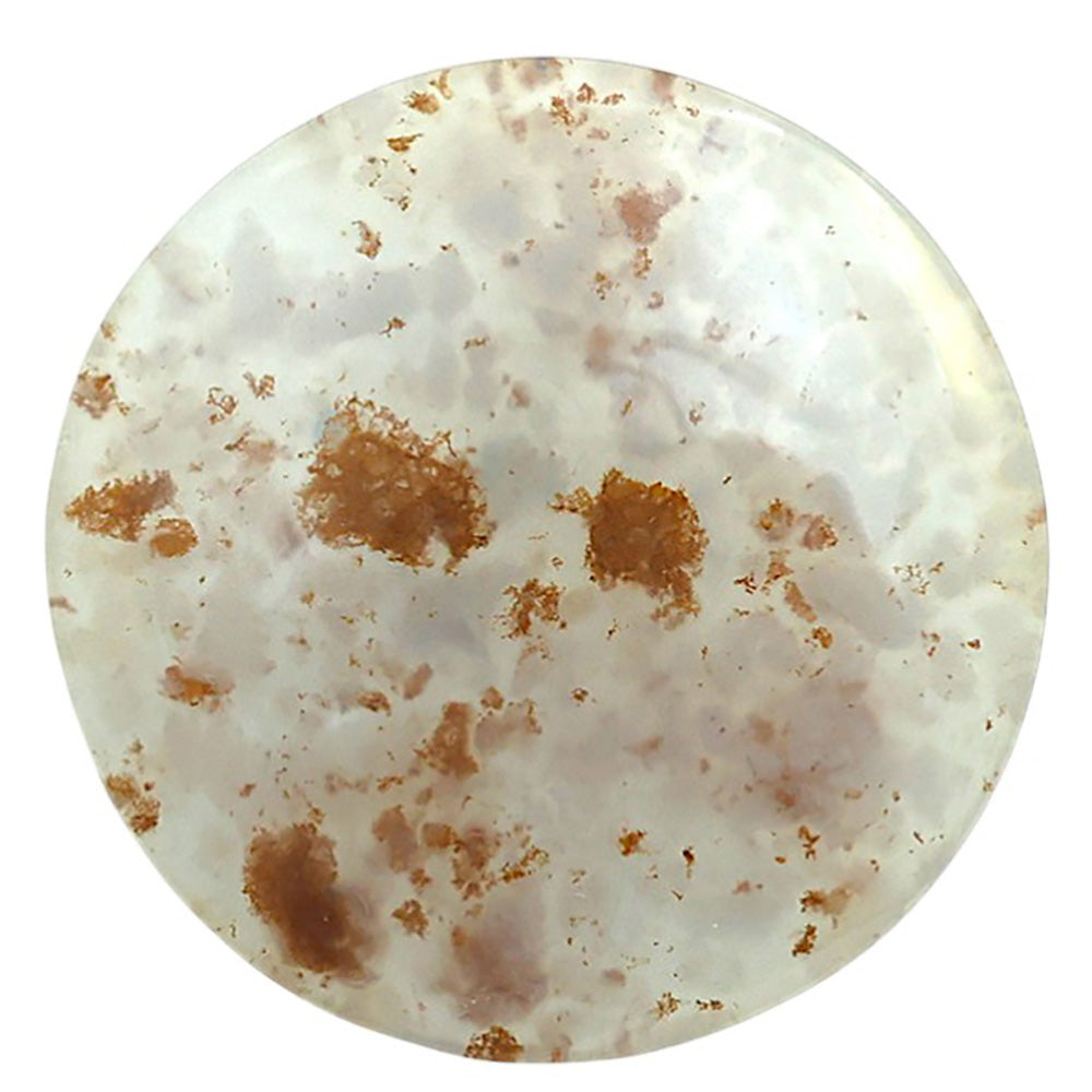 Robinson Ranch Plume Agate 35.3x35.3x5 mm Round Shape Polished Gemstone LS33-08137