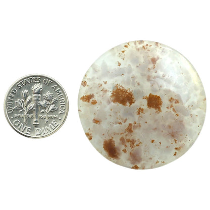 Robinson Ranch Plume Agate 35.3x35.3x5 mm Round Shape Polished Gemstone LS33-08137