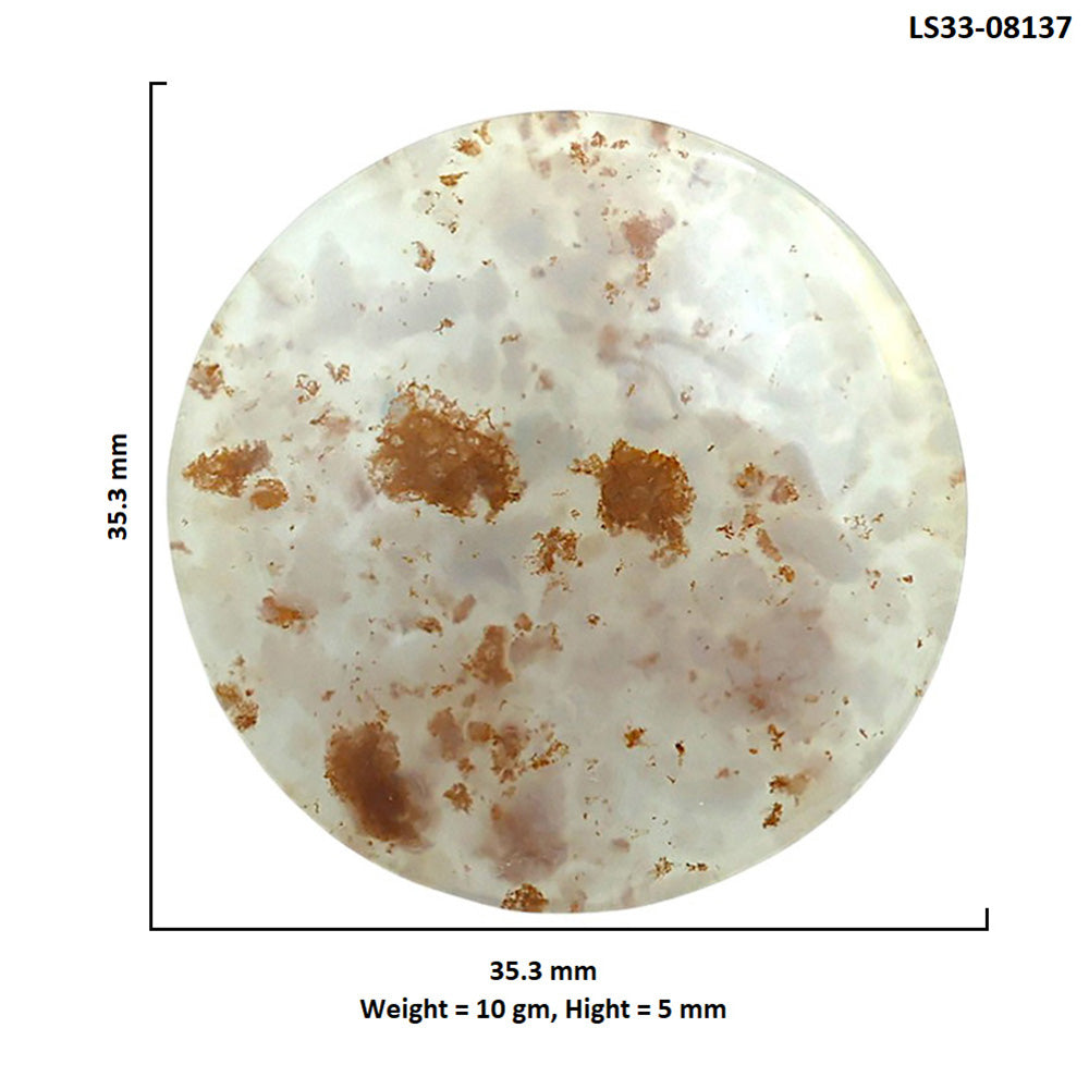 Robinson Ranch Plume Agate 35.3x35.3x5 mm Round Shape Polished Gemstone LS33-08137