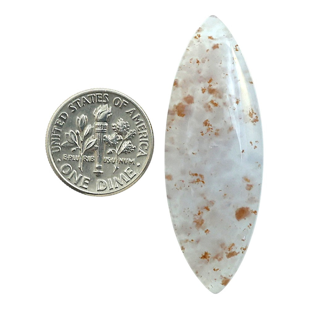 Robinson Ranch Plume Agate 16.5x45.8x5.5 mm Marquise Shape Polished Gemstone LS33-08138