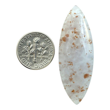 Robinson Ranch Plume Agate 16.5x45.8x5.5 mm Marquise Shape Polished Gemstone LS33-08138