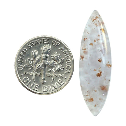 Robinson Ranch Plume Agate 9.6x32x5.3 mm Marquise Shape Polished Gemstone LS33-08144