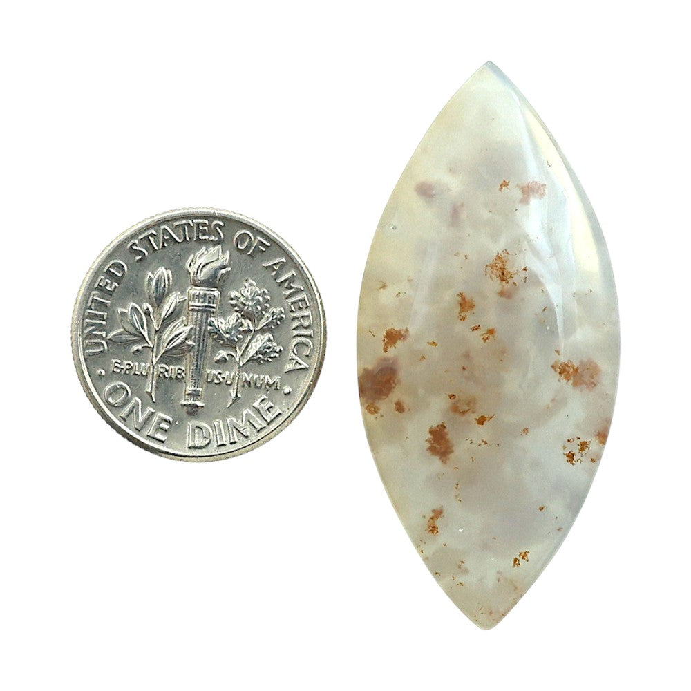 Robinson Ranch Plume Agate 18.5x39.7x5.5 mm Marquise Shape Polished Gemstone LS33-08145