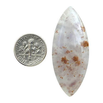 Robinson Ranch Plume Agate 20.1x48.6x6 mm Marquise Shape Polished Gemstone LS33-08148