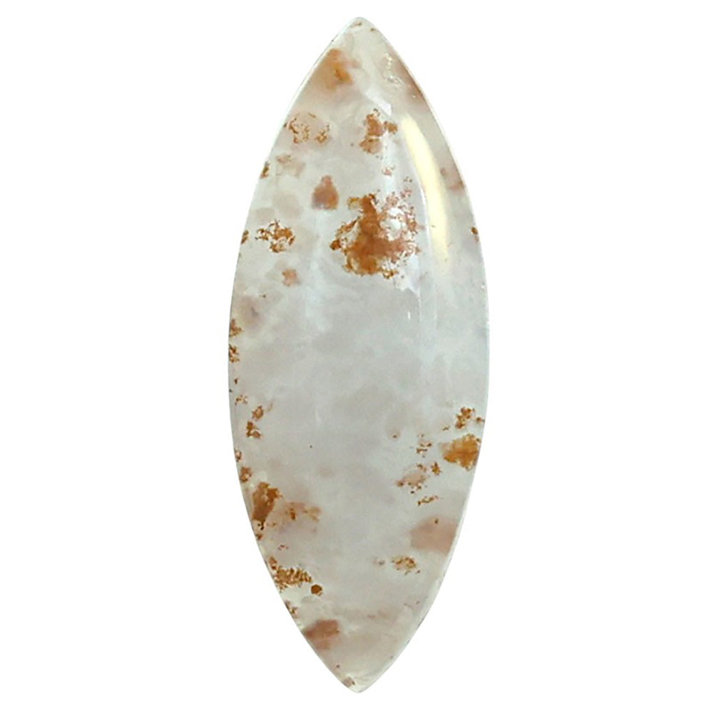 Robinson Ranch Plume Agate 11.4x29.3x5 mm Marquise Shape Polished Gemstone LS33-08149