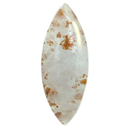 Robinson Ranch Plume Agate 11.4x29.3x5 mm Marquise Shape Polished Gemstone LS33-08149