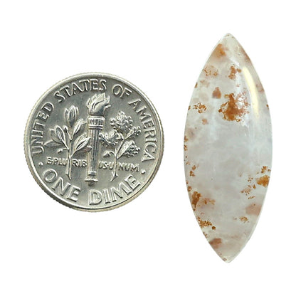 Robinson Ranch Plume Agate 11.4x29.3x5 mm Marquise Shape Polished Gemstone LS33-08149