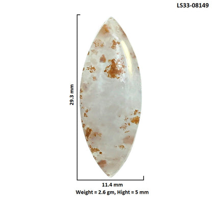 Robinson Ranch Plume Agate 11.4x29.3x5 mm Marquise Shape Polished Gemstone LS33-08149