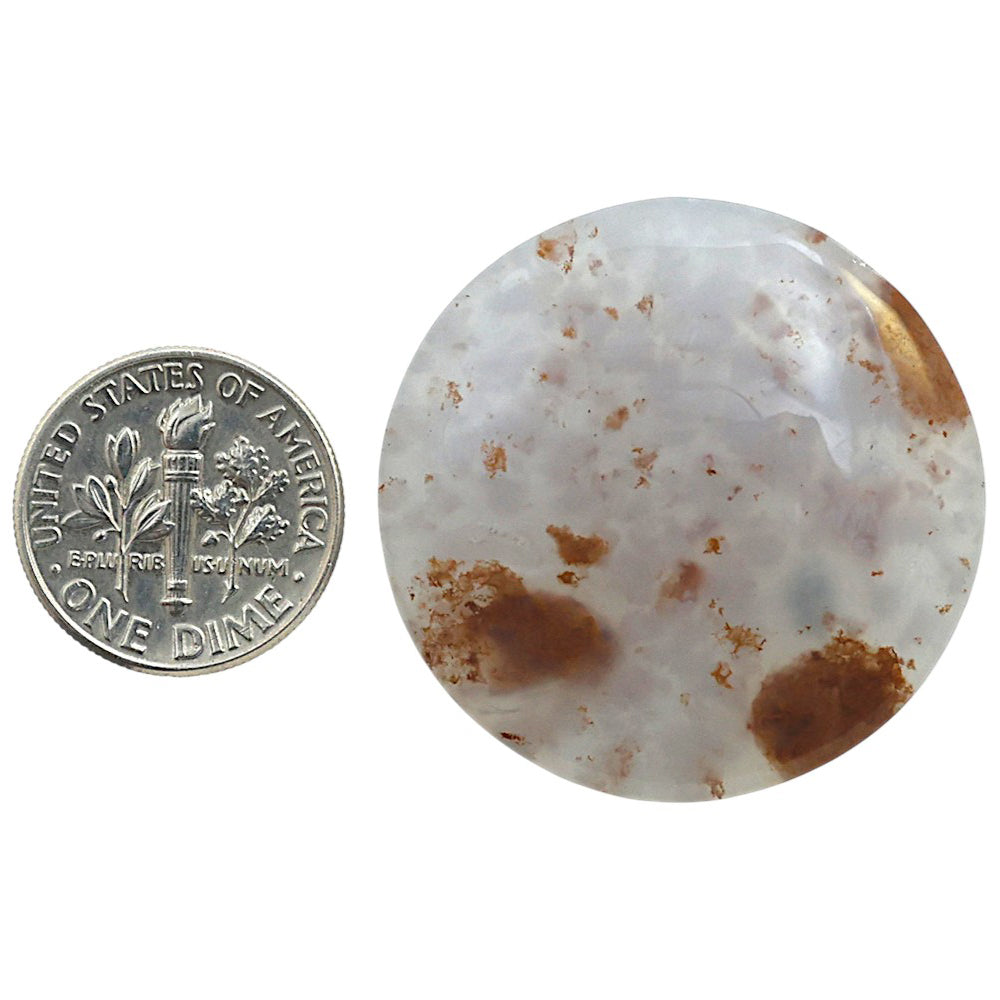 Robinson Ranch Plume Agate 32.7x32.7x5.5 mm Round Shape Polished Gemstone LS33-08151