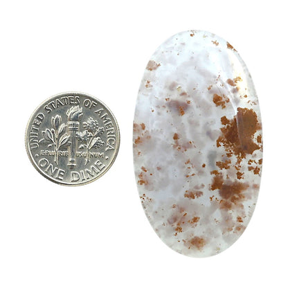 Robinson Ranch Plume Agate 24.55x42.8x5 mm Oval Shape Polished Gemstone LS33-08154