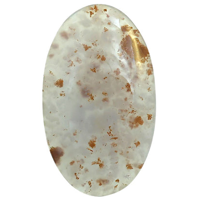 Robinson Ranch Plume Agate 23.9x40.3x5.5 mm Oval Shape Polished Gemstone LS33-08155