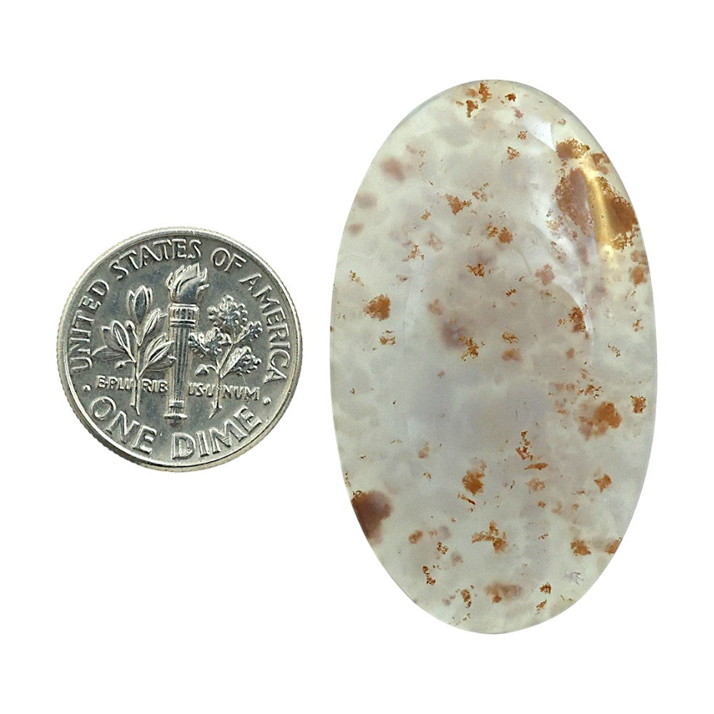 Robinson Ranch Plume Agate 23.9x40.3x5.5 mm Oval Shape Polished Gemstone LS33-08155