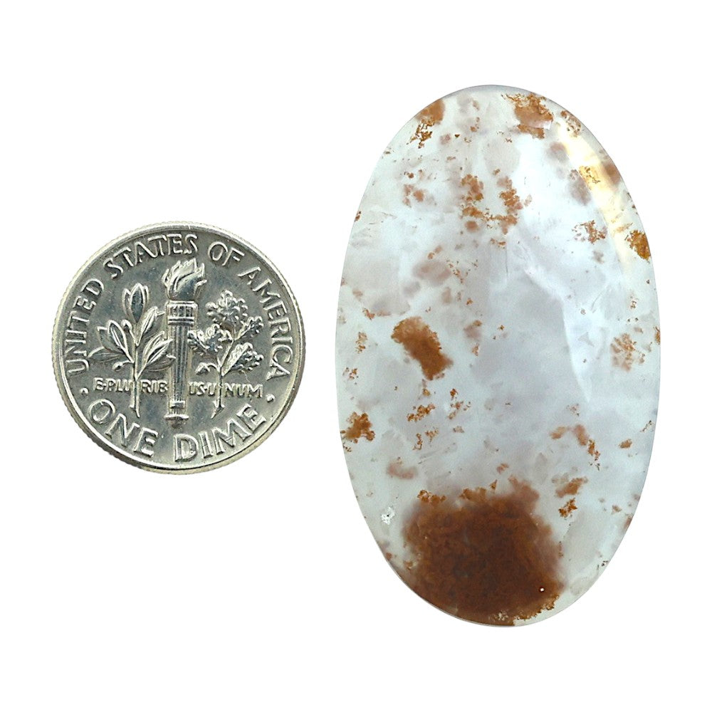 Robinson Ranch Plume Agate 22.9x38.1x5.5 mm Oval Shape Polished Gemstone LS33-08156