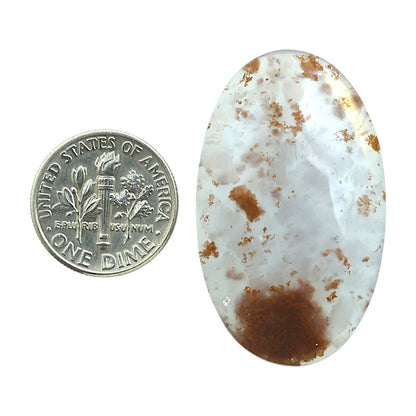 Robinson Ranch Plume Agate 22.9x38.1x5.5 mm Oval Shape Polished Gemstone LS33-08156