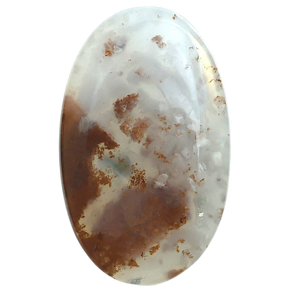 Robinson Ranch Plume Agate 21.45x34.75x5 mm Oval Shape Polished Gemstone LS33-08158