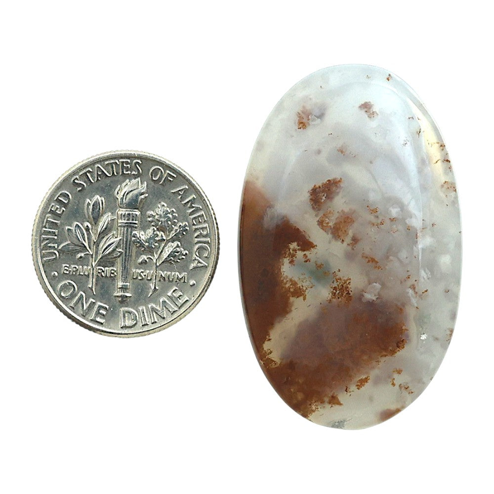 Robinson Ranch Plume Agate 21.45x34.75x5 mm Oval Shape Polished Gemstone LS33-08158