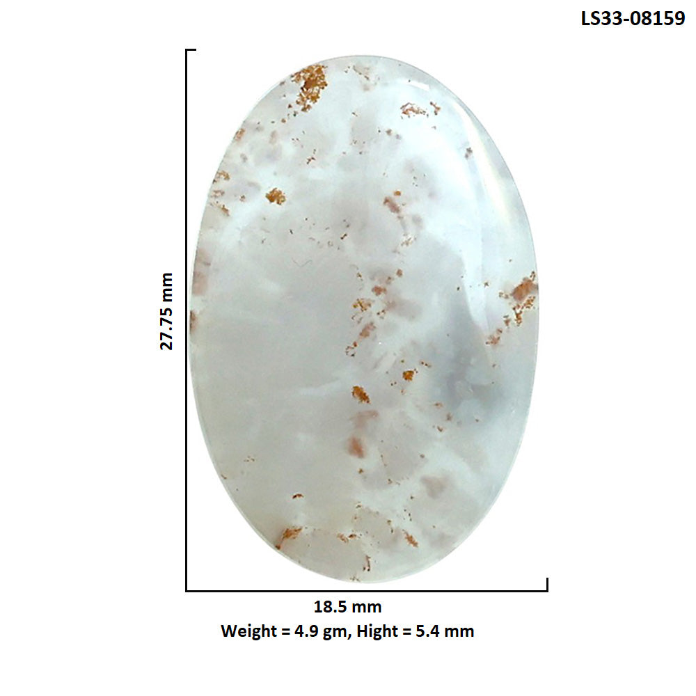 Robinson Ranch Plume Agate 18.5x27.75x5.4 mm Oval Shape Polished Gemstone LS33-08159