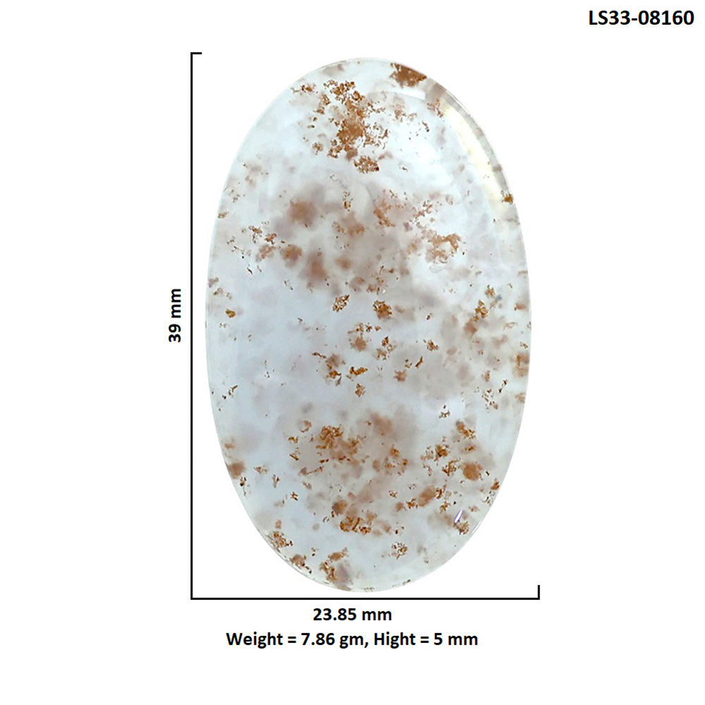 Robinson Ranch Plume Agate 23.85x39x5 mm Oval Shape Polished Gemstone LS33-08160