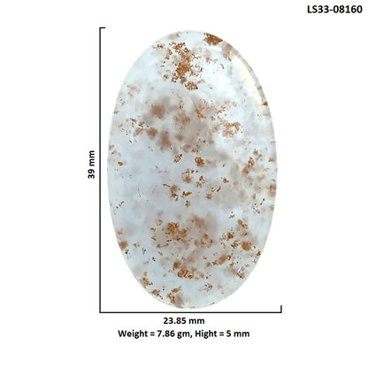 Robinson Ranch Plume Agate 23.85x39x5 mm Oval Shape Polished Gemstone LS33-08160