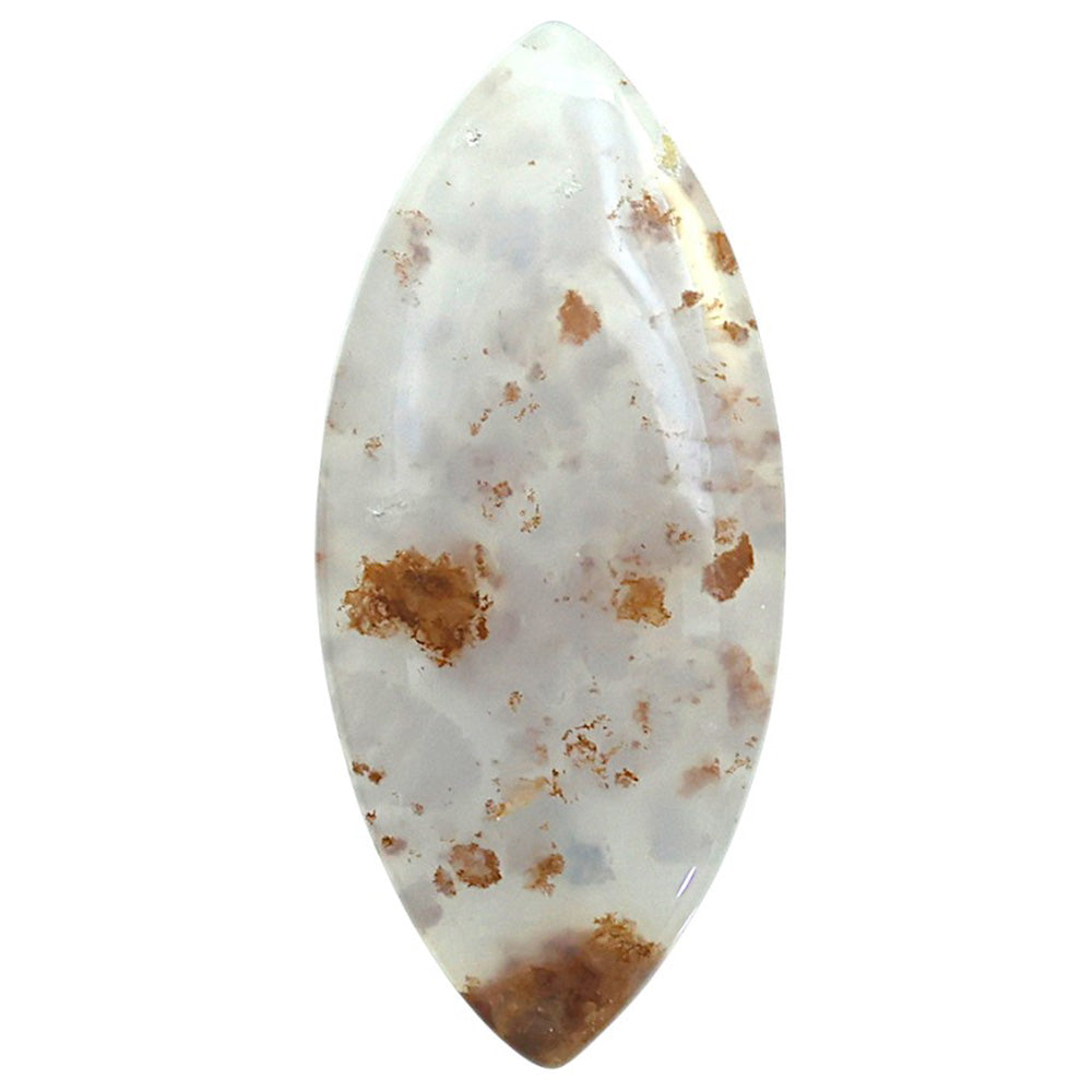 Robinson Ranch Plume Agate 20.1x44.7x5 mm Marquise Shape Polished Gemstone LS33-08162