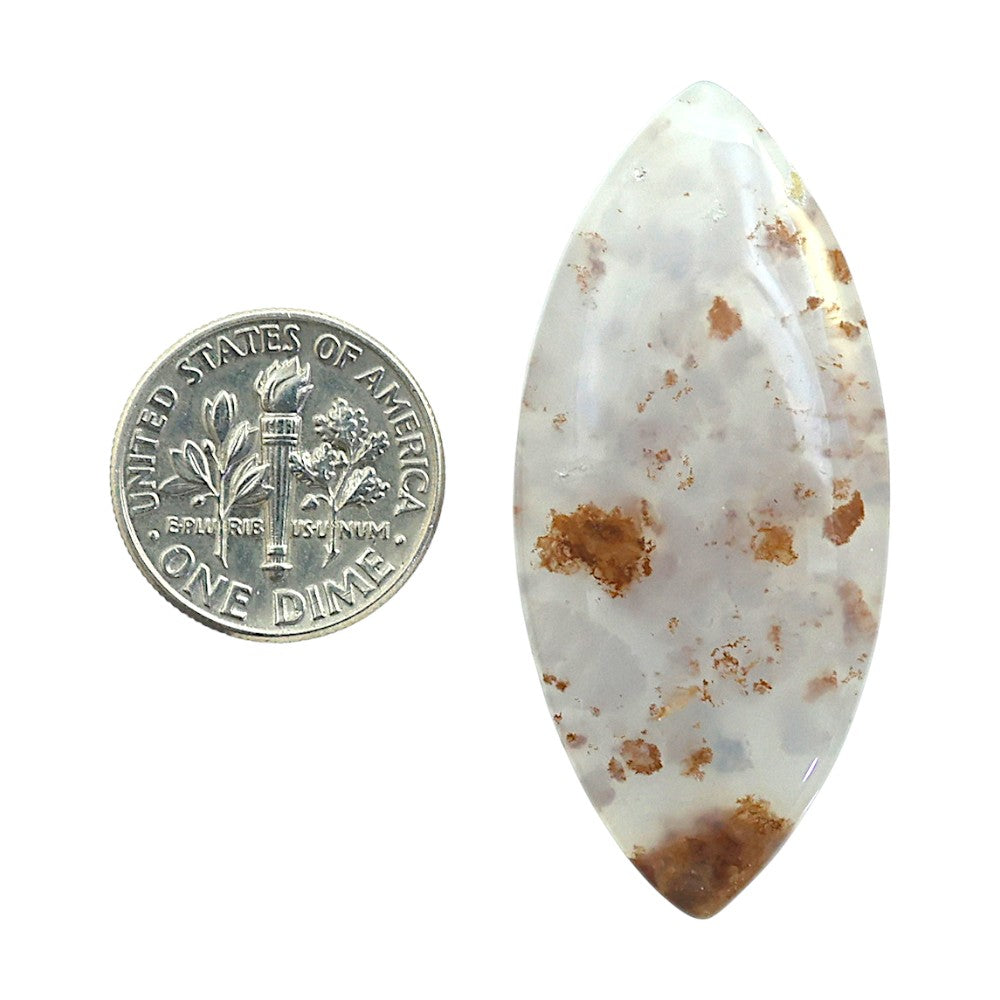 Robinson Ranch Plume Agate 20.1x44.7x5 mm Marquise Shape Polished Gemstone LS33-08162