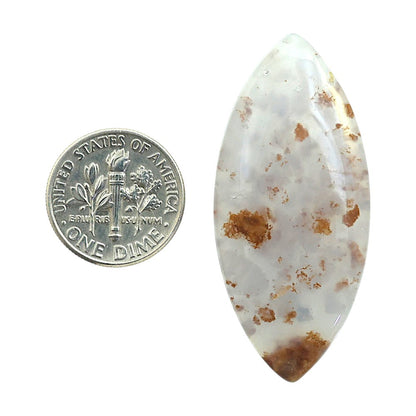 Robinson Ranch Plume Agate 20.1x44.7x5 mm Marquise Shape Polished Gemstone LS33-08162