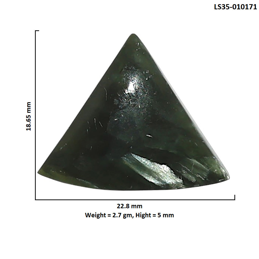 Natural Russian Seraphinite 18.65x22.8x5 mm Fancy Shape Polished Gemstone LS35-010171