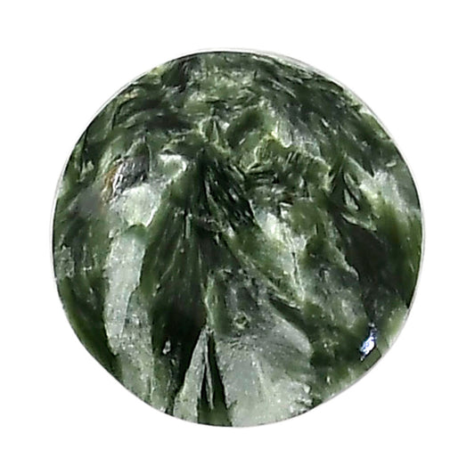 Russian Seraphinite 19.5x19.6x5.5 mm Round Shape Polished Gemstone LS35-05155