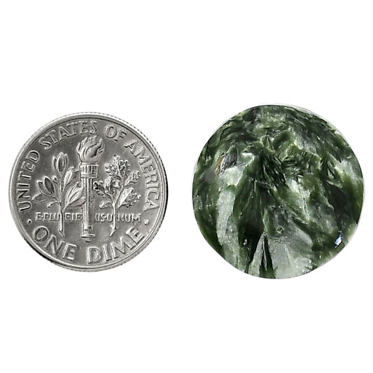 Russian Seraphinite 19.5x19.6x5.5 mm Round Shape Polished Gemstone LS35-05155