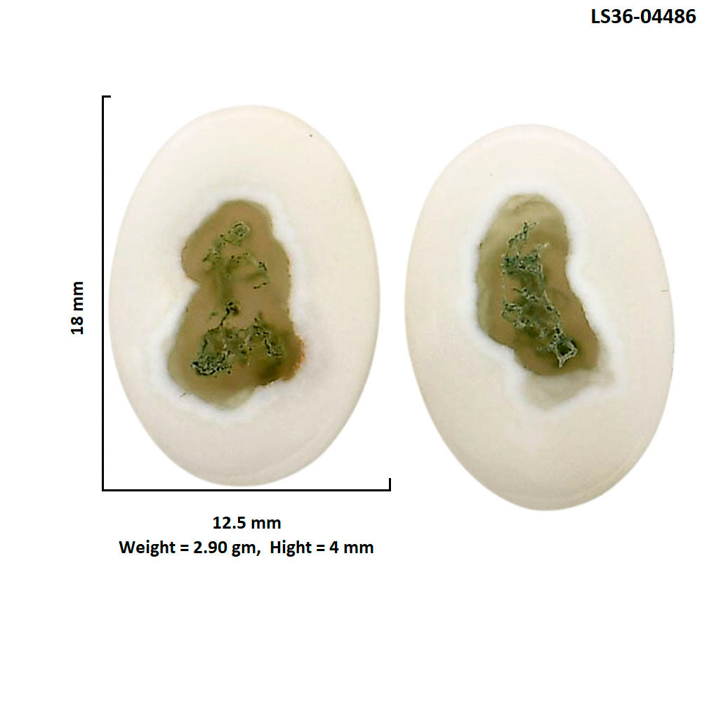 Horse Canyon Moss Agate Pair 12.5x18x4 mm Oval Shape Polished Gemstone LS36-04486