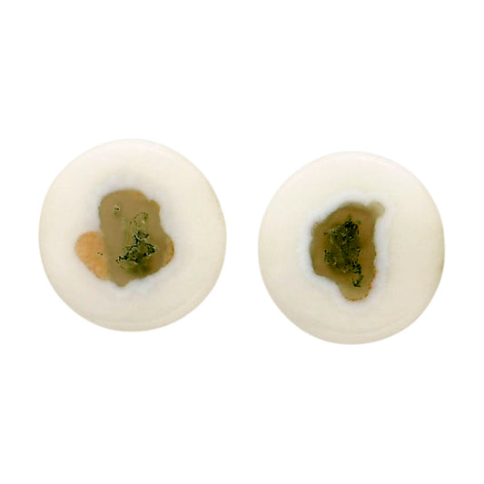 Horse Canyon Moss Agate Pair 13.6x13.6x4 mm Round Shape Polished Gemstone LS36-04488