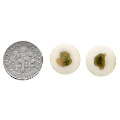 Horse Canyon Moss Agate Pair 13.6x13.6x4 mm Round Shape Polished Gemstone LS36-04488