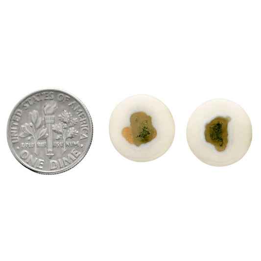 Horse Canyon Moss Agate Pair 13.6x13.6x4 mm Round Shape Polished Gemstone LS36-04488