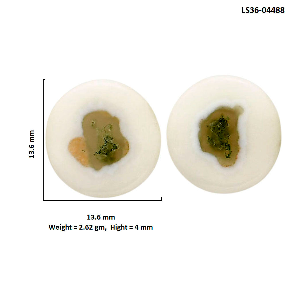 Horse Canyon Moss Agate Pair 13.6x13.6x4 mm Round Shape Polished Gemstone LS36-04488