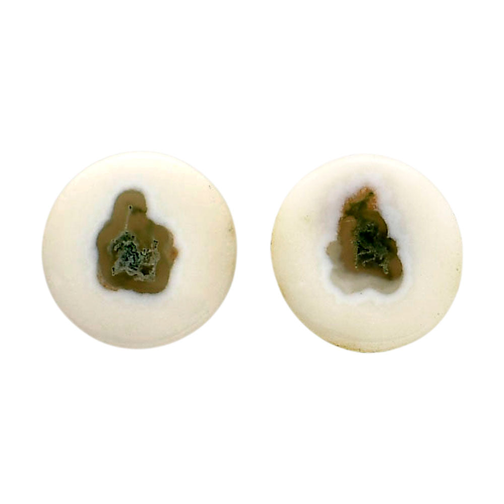 Horse Canyon Moss Agate Pair 14x14x4 mm Round Shape Polished Gemstone LS36-04489