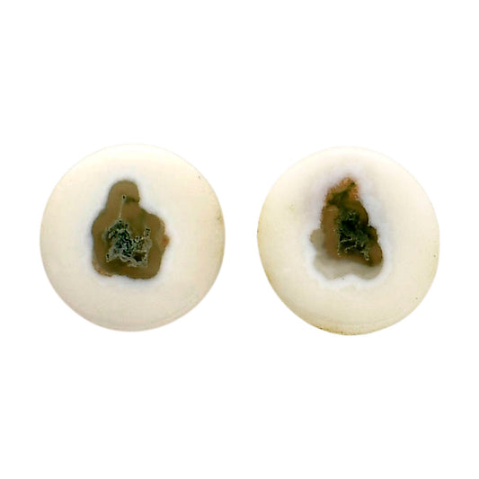 Horse Canyon Moss Agate Pair 14x14x4 mm Round Shape Polished Gemstone LS36-04489
